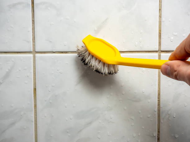 Best Localized Mold Remediation (e.g., coastal areas, humid climates) in Citronelle, AL