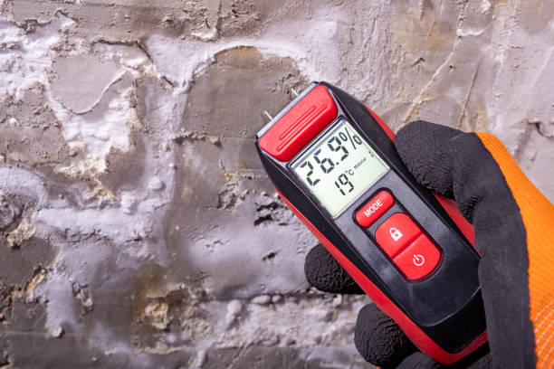 Best Crawl Space Mold Remediation in Citronelle, AL